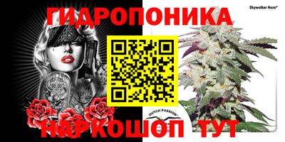 трава Тара