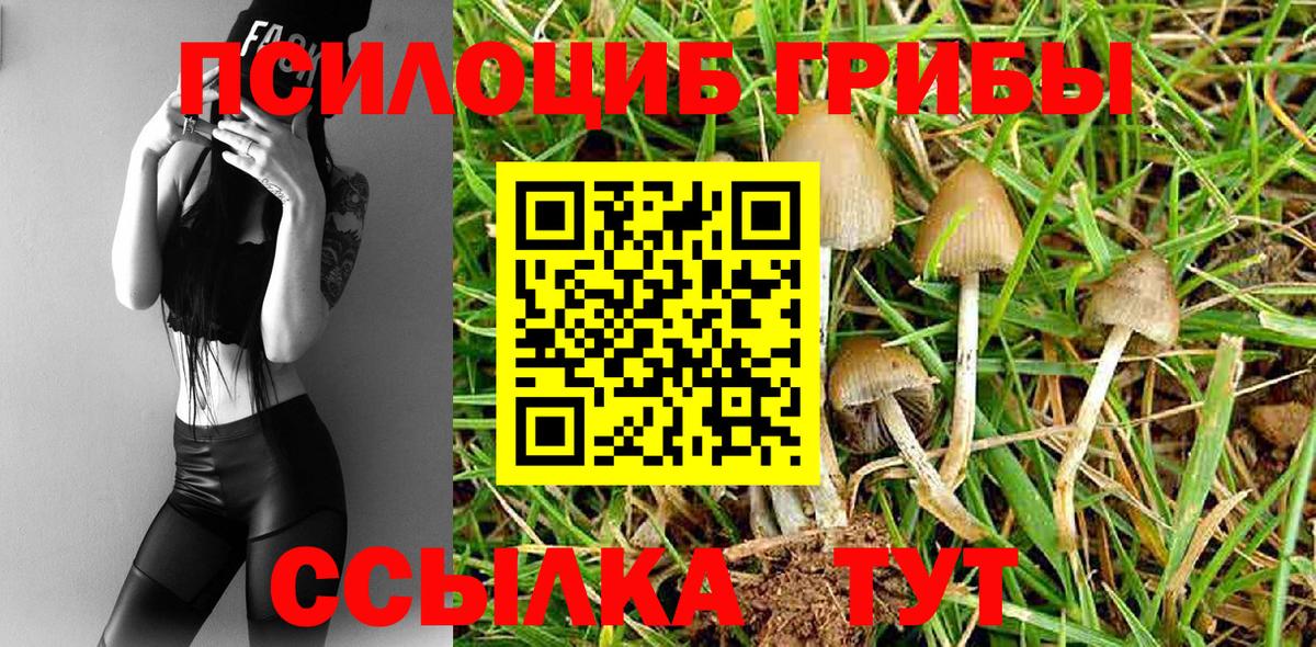 Большой Камень  Псилоцибиновые грибы мухоморы  Вход с VPN 